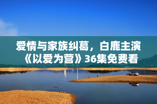 爱情与家族纠葛，白鹿主演《以爱为营》36集免费看
