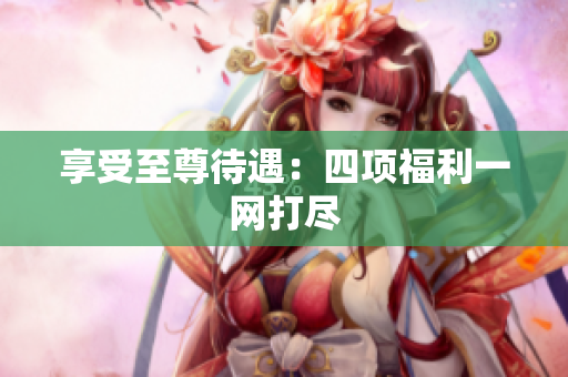 享受至尊待遇：四项福利一网打尽