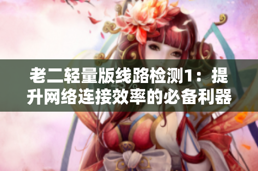 老二轻量版线路检测1：提升网络连接效率的必备利器