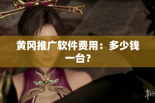 黄冈推广软件费用：多少钱一台？