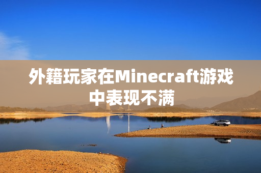 外籍玩家在Minecraft游戏中表现不满