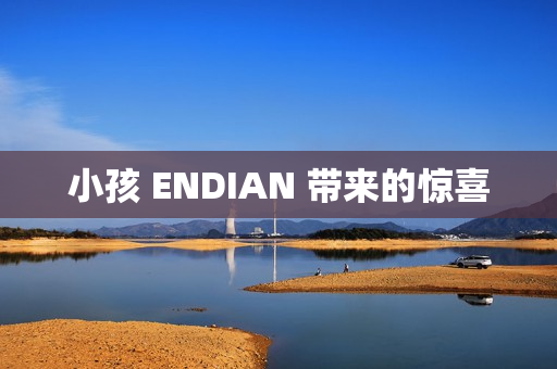 小孩 ENDIAN 带来的惊喜
