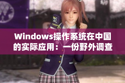 Windows操作系统在中国的实际应用：一份野外调查报告