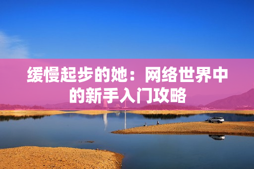 缓慢起步的她：网络世界中的新手入门攻略