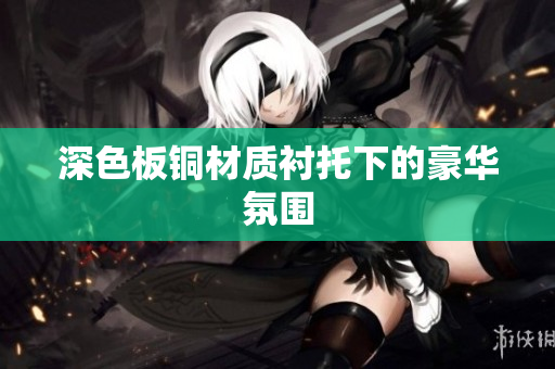深色板铜材质衬托下的豪华氛围