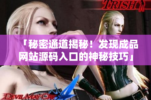 「秘密通道揭秘！发现成品网站源码入口的神秘技巧」