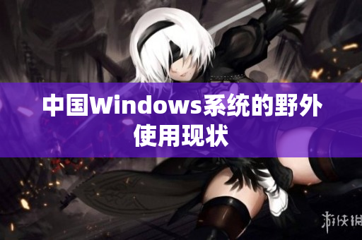 中国Windows系统的野外使用现状