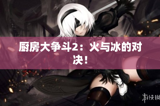厨房大争斗2：火与冰的对决！