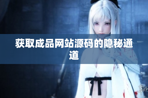 获取成品网站源码的隐秘通道