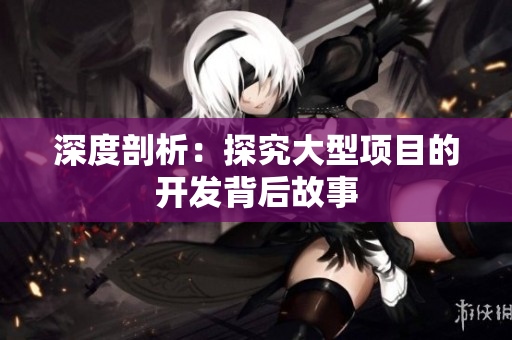 深度剖析：探究大型项目的开发背后故事
