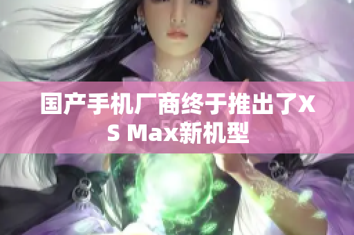 国产手机厂商终于推出了XS Max新机型