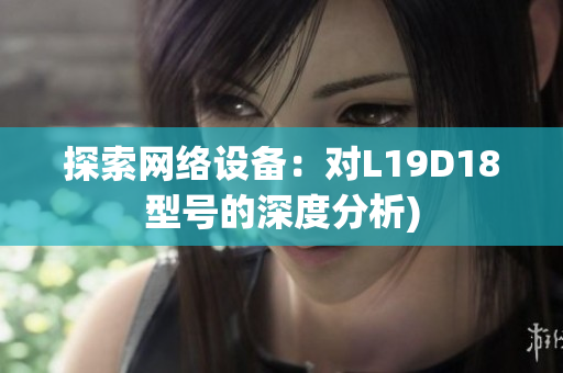 探索网络设备：对L19D18型号的深度分析)