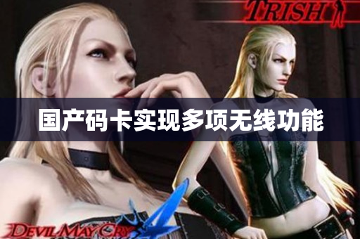 国产码卡实现多项无线功能