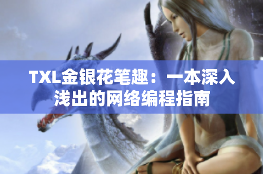 TXL金银花笔趣：一本深入浅出的网络编程指南