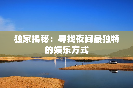 独家揭秘：寻找夜间最独特的娱乐方式