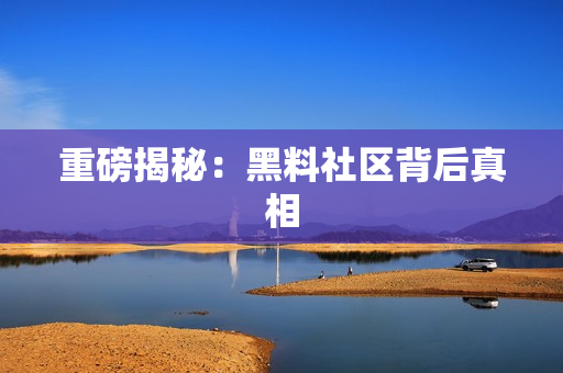 重磅揭秘：黑料社区背后真相