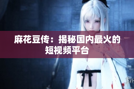 麻花豆传：揭秘国内最火的短视频平台