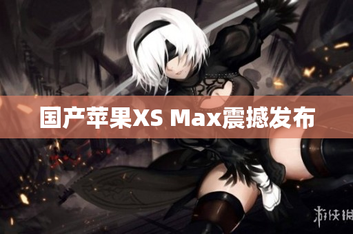 国产苹果XS Max震撼发布