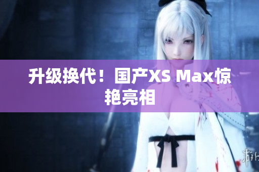升级换代！国产XS Max惊艳亮相