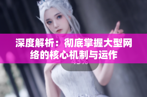 深度解析：彻底掌握大型网络的核心机制与运作