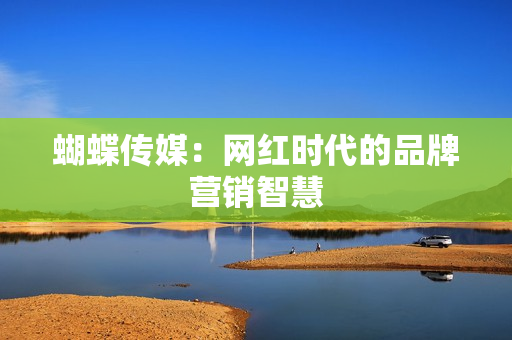 蝴蝶传媒：网红时代的品牌营销智慧