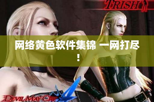 网络黄色软件集锦 一网打尽！