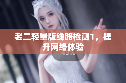 老二轻量版线路检测1，提升网络体验
