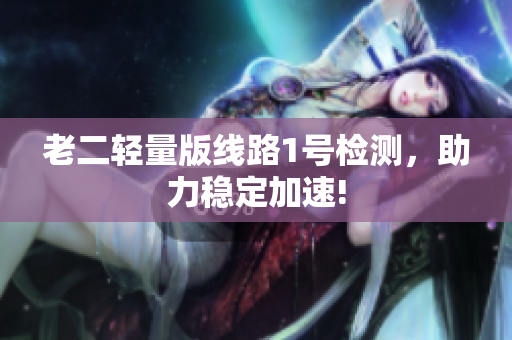 老二轻量版线路1号检测，助力稳定加速!