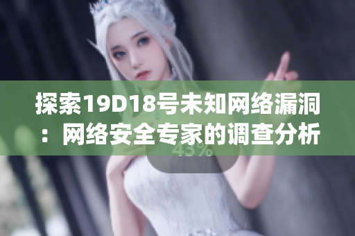探索19D18号未知网络漏洞：网络安全专家的调查分析)