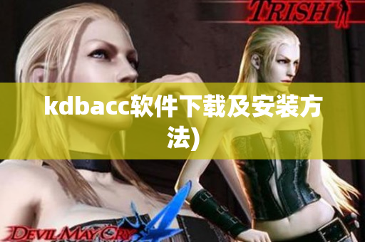 kdbacc软件下载及安装方法)