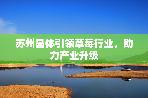 苏州晶体引领草莓行业，助力产业升级