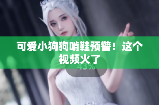 可爱小狗狗啃鞋预警！这个视频火了