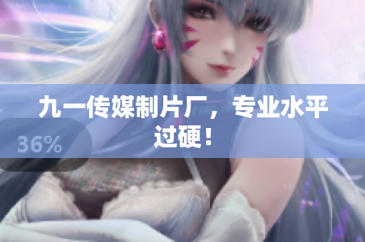 九一传媒制片厂，专业水平过硬！