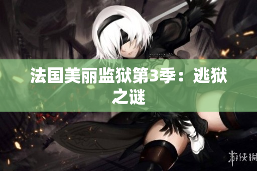 法国美丽监狱第3季：逃狱之谜