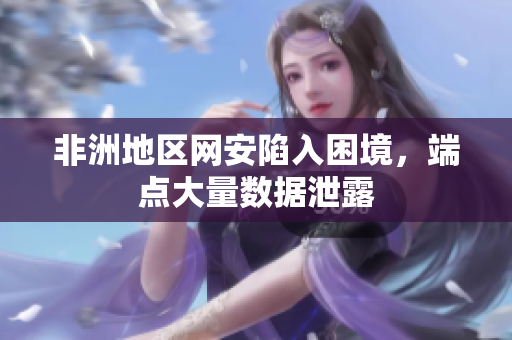 非洲地区网安陷入困境，端点大量数据泄露