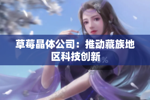 草莓晶体公司：推动藏族地区科技创新