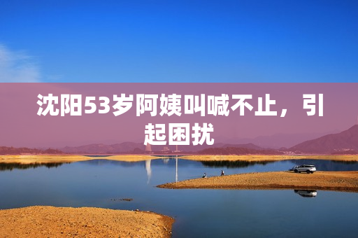 沈阳53岁阿姨叫喊不止，引起困扰