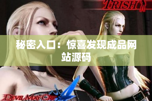 秘密入口：惊喜发现成品网站源码