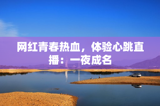网红青春热血，体验心跳直播：一夜成名