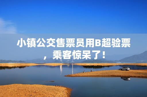小镇公交售票员用B超验票，乘客惊呆了！