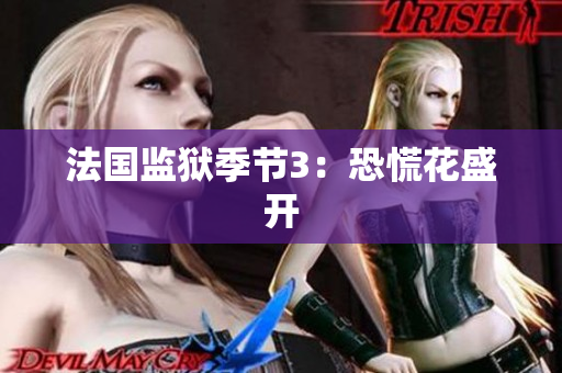 法国监狱季节3：恐慌花盛开