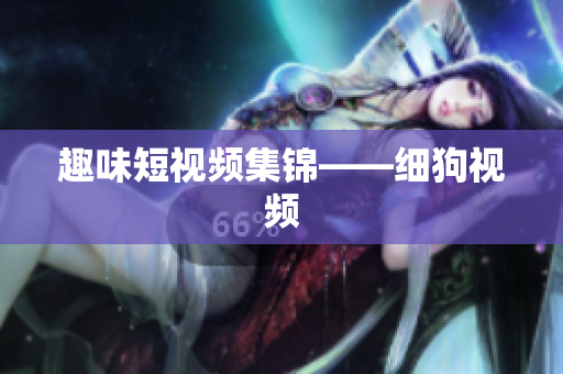 趣味短视频集锦——细狗视频