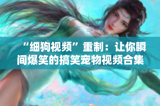 “细狗视频”重制：让你瞬间爆笑的搞笑宠物视频合集！