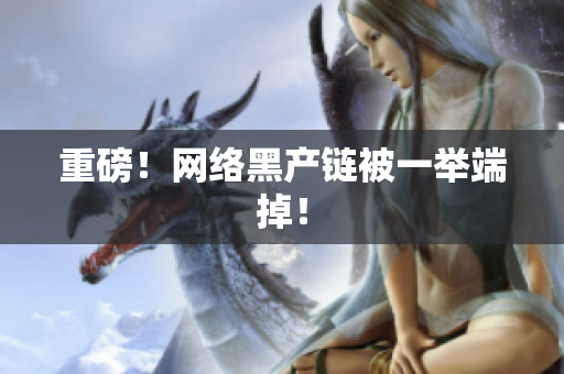 重磅！网络黑产链被一举端掉！
