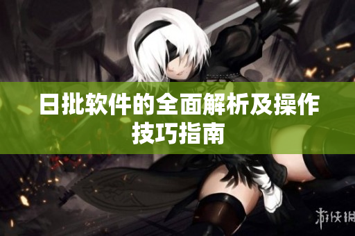 日批软件的全面解析及操作技巧指南
