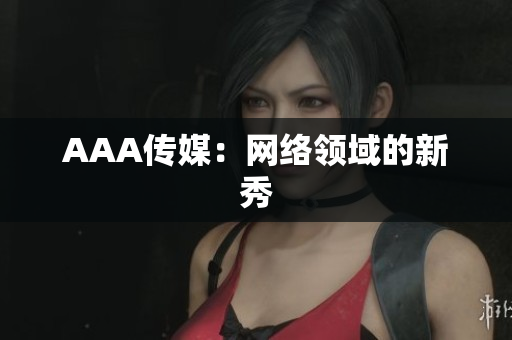 AAA传媒：网络领域的新秀