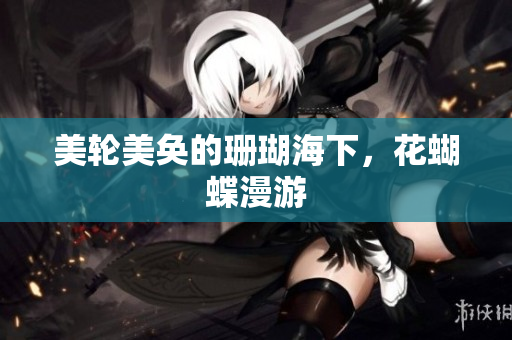美轮美奂的珊瑚海下，花蝴蝶漫游