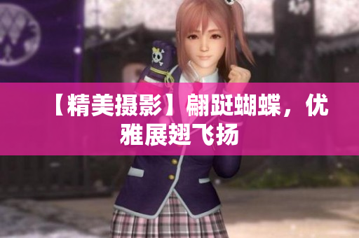 【精美摄影】翩跹蝴蝶，优雅展翅飞扬