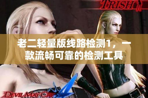 老二轻量版线路检测1，一款流畅可靠的检测工具