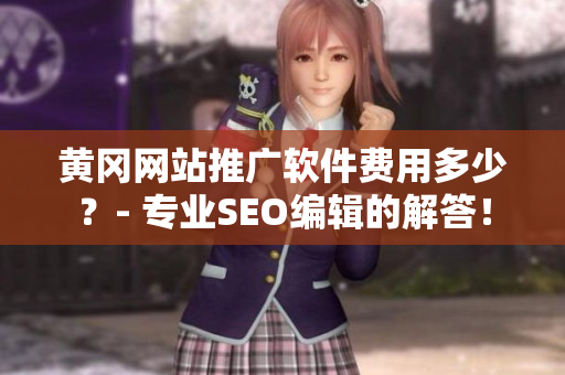 黄冈网站推广软件费用多少？- 专业SEO编辑的解答！